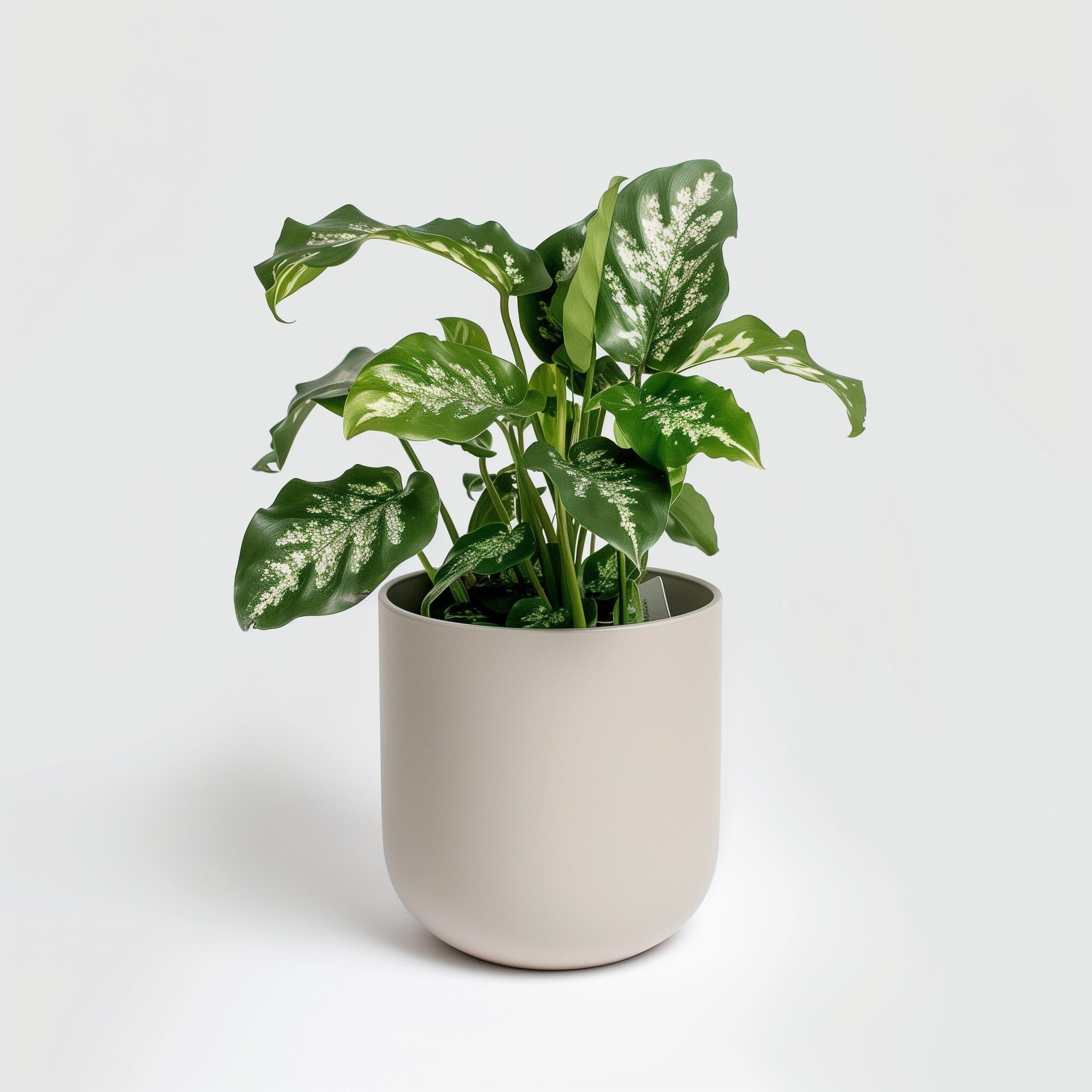 Example product